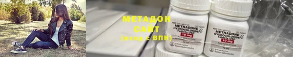 прущие грибы Губаха