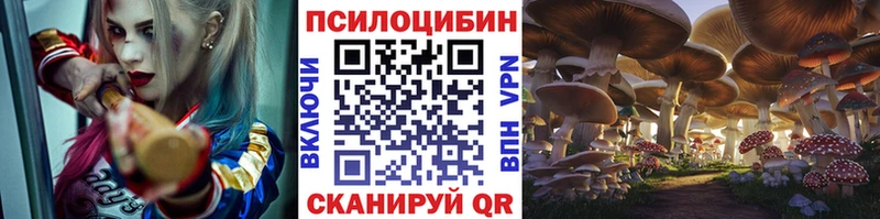 hydra как зайти  Баксан  Галлюциногенные грибы мухоморы  где можно купить наркотик 